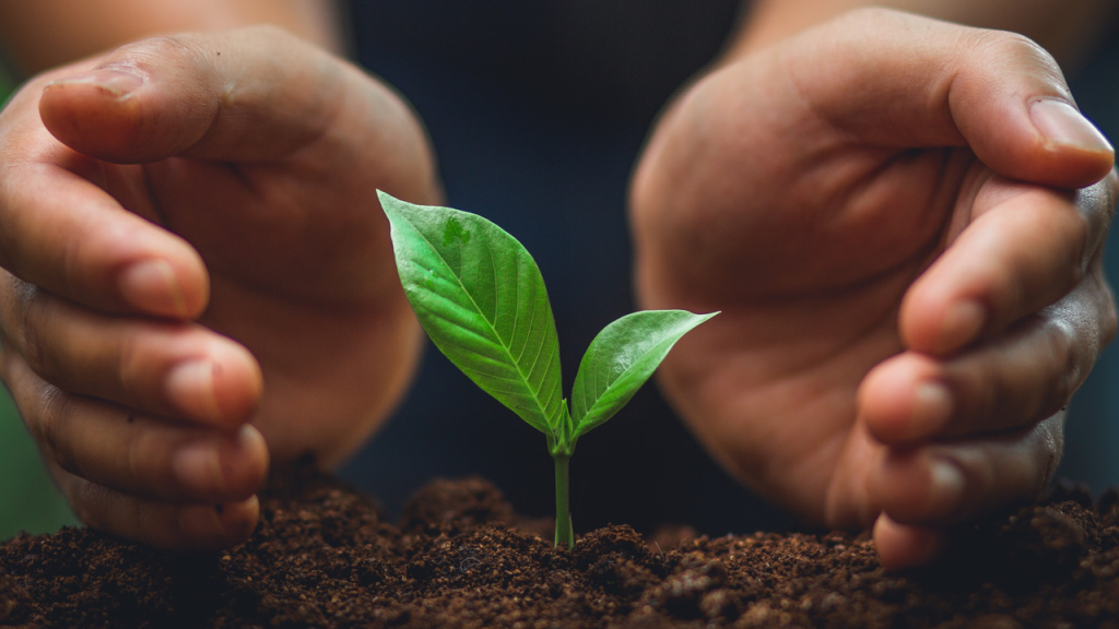 Projetos de Inovação e Sustentabilidade